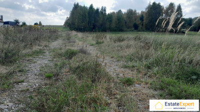 Atrakcyjne działki budowlane Wólka Pokłonna -  Wólka Pokłonna  -
świętokrzyskie Zdjęcie nr 5