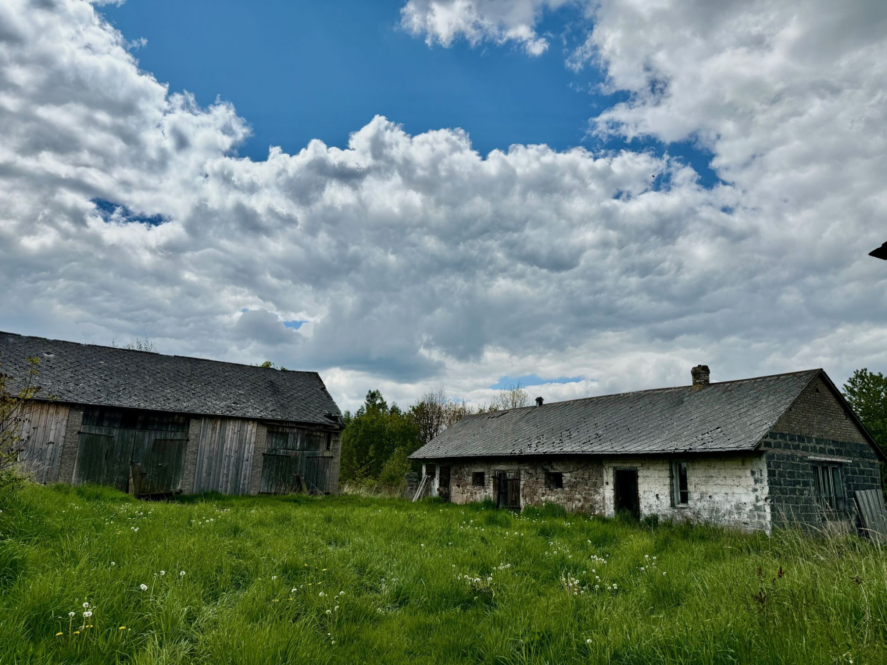 Działki budowlane działka rolna z domem stodołą i oborą 2ha -  Wiącka  -
świętokrzyskie Zdjęcie nr 1