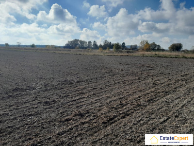 Atrakcyjna działka budowlana w Sukowie - Suków  -
świętokrzyskie Zdjęcie nr 3