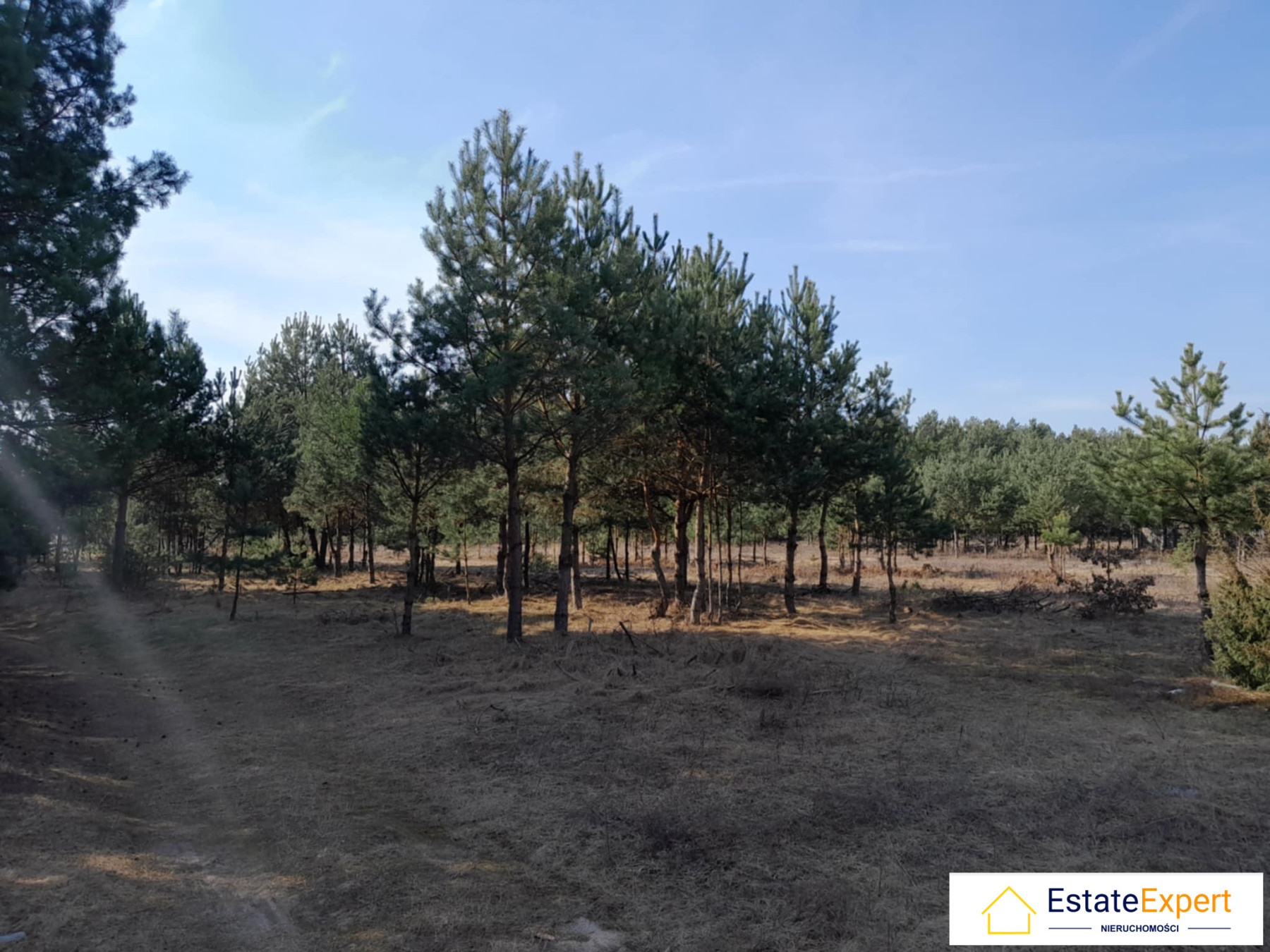 Atrakcyjna działka rolno budowlana Niwy koło Daleszyc - Niwy  -
świętokrzyskie Zdjęcie nr 1