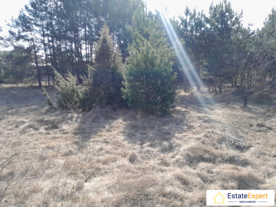 Atrakcyjna działka rolno budowlana Niwy koło Daleszyc - Niwy  -
świętokrzyskie Zdjęcie nr 3