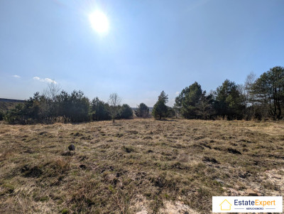 Działka budowlano-rolna 1700m2 Łączna Stawik - skarżyski  -
świętokrzyskie Zdjęcie nr 7