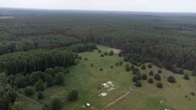 Na sprzedaż działka rekreacyjna - Silna Nowa -
wielkopolskie Zdjęcie nr 13