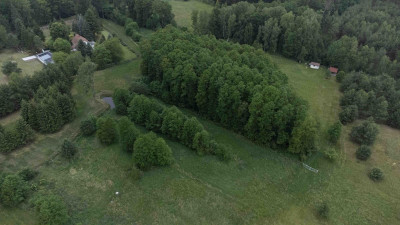 Na sprzedaż działka rekreacyjna - Silna Nowa -
wielkopolskie Zdjęcie nr 2