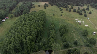Na sprzedaż działka rekreacyjna - Silna Nowa -
wielkopolskie Zdjęcie nr 8