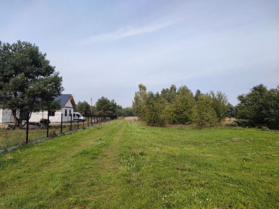 Na sprzedaż działka budowlana - Dachowa -
mazowieckie Zdjęcie nr 11