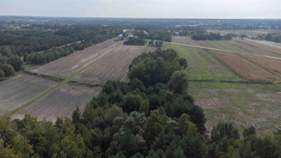 Na sprzedaż działka budowlana - Dachowa -
mazowieckie Zdjęcie nr 7