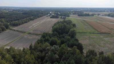 Na sprzedaż działka budowlana - Dachowa -
mazowieckie Zdjęcie nr 8