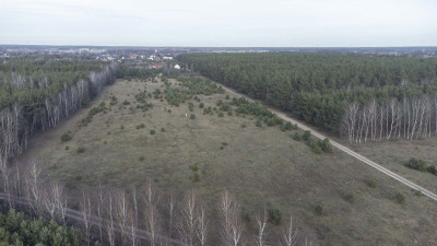 Na sprzedaż działka budowlana - Rynarzewo -
kujawsko-pomorskie Zdjęcie nr 7