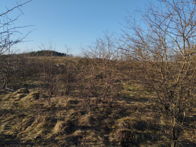 Na sprzedaż działka inwestycyjna - Grabowo -
warmińsko-mazurskie Zdjęcie nr 11