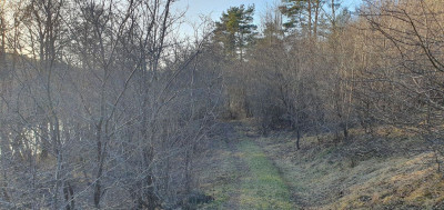Na sprzedaż działka inwestycyjna - Grabowo -
warmińsko-mazurskie Zdjęcie nr 3