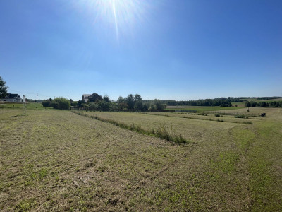 MPZP  Media w działce  Asfaltowa droga  Prostok - Koziel  -
Świętokrzyskie Zdjęcie nr 4