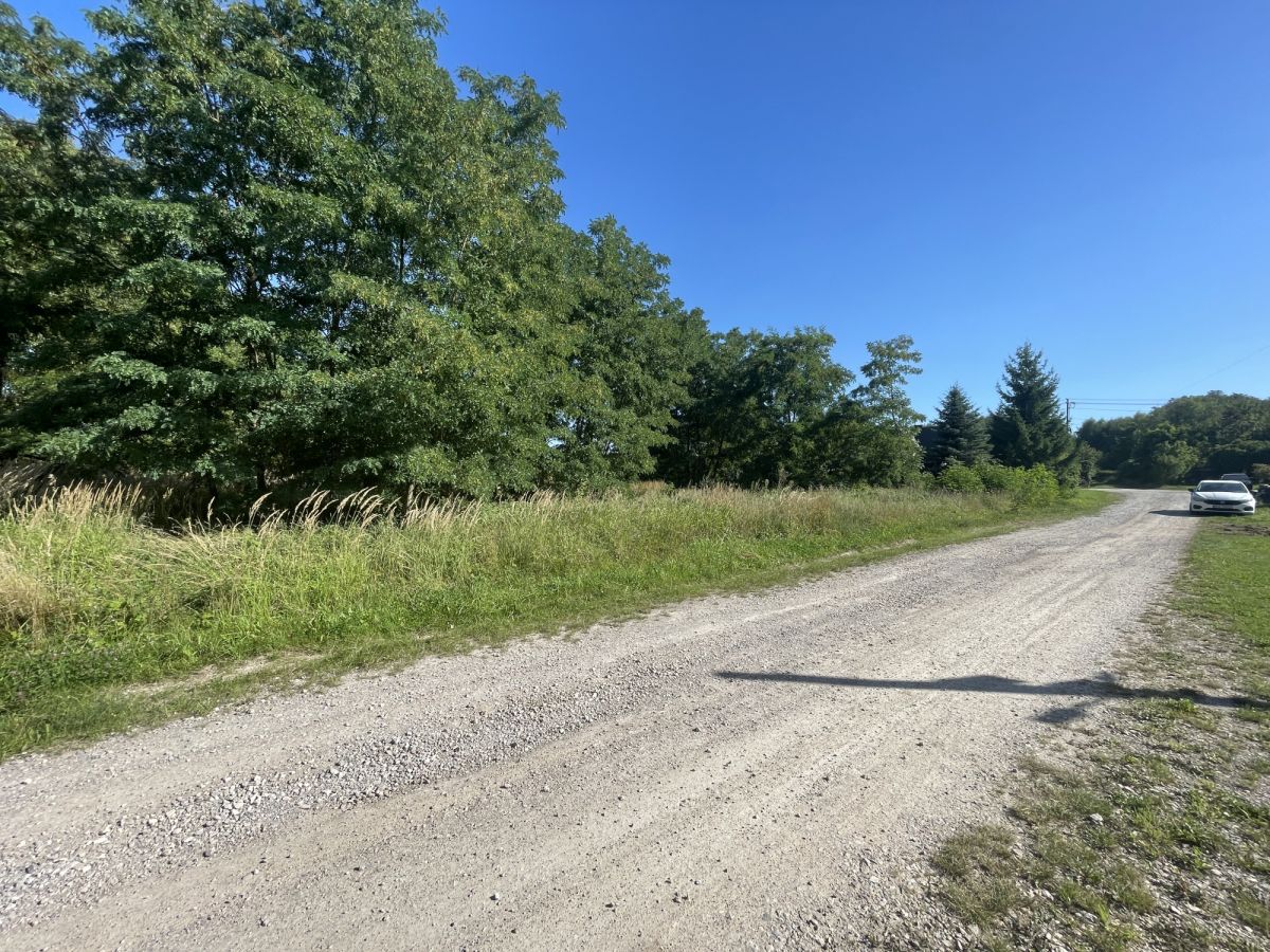 WZMediaPrzy rzece Czarna NidaProstokątnaPłask - Siedlce  -
Świętokrzyskie Zdjęcie nr 1