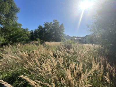 WZMediaPrzy rzece Czarna NidaProstokątnaPłask - Siedlce  -
Świętokrzyskie Zdjęcie nr 2