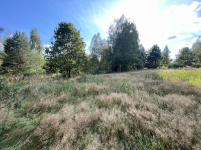 WZ  Media  Zalew w Suchedniowie  Kamionka  Dro - Ostojów  -
Świętokrzyskie Zdjęcie nr 10