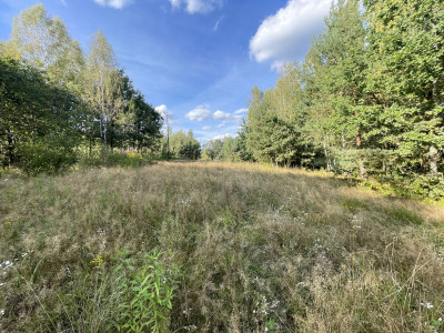 WZ  Media  Zalew w Suchedniowie  Kamionka  Dro - Ostojów  -
Świętokrzyskie Zdjęcie nr 14