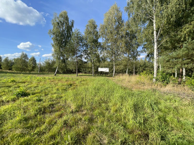 WZ  Media  Zalew w Suchedniowie  Kamionka  Dro - Ostojów  -
Świętokrzyskie Zdjęcie nr 8