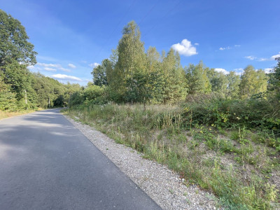 WZ  Media  Zalew w Suchedniowie  Kamionka  Dro - Ostojów  -
Świętokrzyskie Zdjęcie nr 9