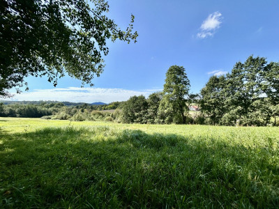 WidokowaDroga dojazdowaPradWodaGaz3 działki - Lubomierz  -
Małopolskie Zdjęcie nr 11