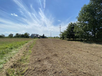 Działki 10min od Zatora Atrakcyjna cena - Zator  -
Małopolskie Zdjęcie nr 14