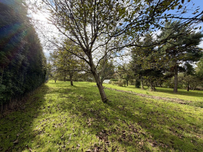 MediaCentrumMieszkaniowo-usługowaDrogaBl - Wieliczka  -
Małopolskie Zdjęcie nr 10
