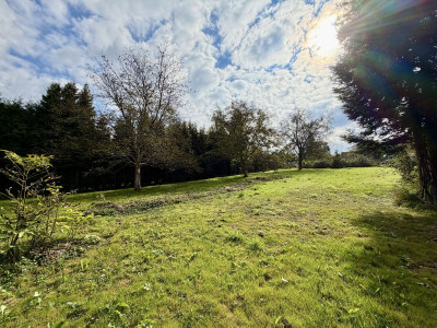 MediaCentrumMieszkaniowo-usługowaDrogaBl - Wieliczka  -
Małopolskie Zdjęcie nr 12