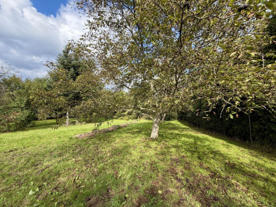MediaCentrumMieszkaniowo-usługowaDrogaBl - Wieliczka  -
Małopolskie Zdjęcie nr 6
