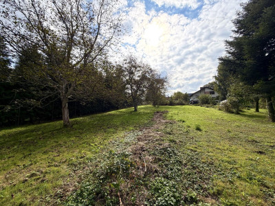 MediaCentrumMieszkaniowo-usługowaDrogaBl - Wieliczka  -
Małopolskie Zdjęcie nr 7