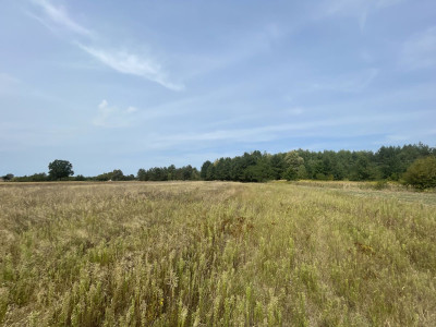 WZ  Woda prąd kanalizacja  JuraPark  Utwardzo - Wólka Bałtowska  -
Świętokrzyskie Zdjęcie nr 11