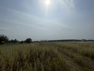 WZ  Woda prąd kanalizacja  JuraPark  Utwardzo - Wólka Bałtowska  -
Świętokrzyskie Zdjęcie nr 12