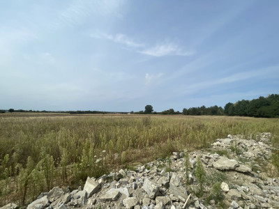 WZ  Woda prąd kanalizacja  JuraPark  Utwardzo - Wólka Bałtowska  -
Świętokrzyskie Zdjęcie nr 13