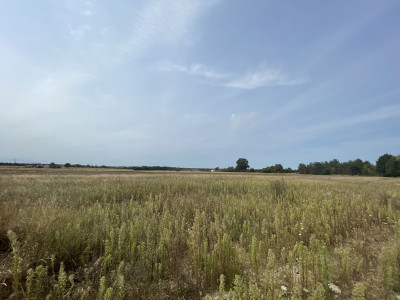 WZ  Woda prąd kanalizacja  JuraPark  Utwardzo - Wólka Bałtowska  -
Świętokrzyskie Zdjęcie nr 14