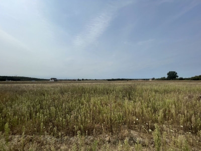 WZ  Woda prąd kanalizacja  JuraPark  Utwardzo - Wólka Bałtowska  -
Świętokrzyskie Zdjęcie nr 9