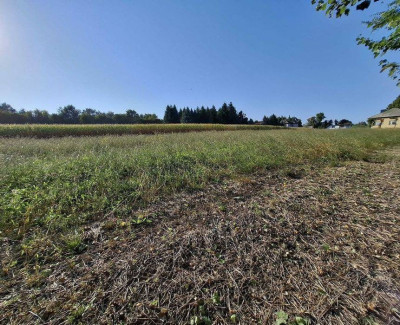 Położenie na wzniesieniuMedia w sąsiedztwie  - Głębowice  -
Małopolskie Zdjęcie nr 5