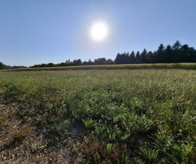 Położenie na wzniesieniuMedia w sąsiedztwie  - Głębowice  -
Małopolskie Zdjęcie nr 7