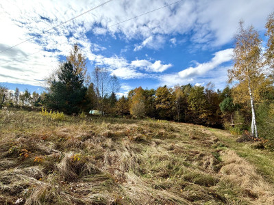 WodaPrądGazLasBudowlano-Rolna - Wysoka  -
Małopolskie Zdjęcie nr 14