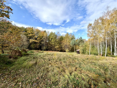 WodaPrądGazLasBudowlano-Rolna - Wysoka  -
Małopolskie Zdjęcie nr 9