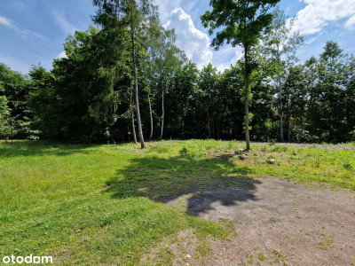 I Działka na budowe domu ilub pod inwestycje dewe - Zabrze  -
Śląskie Zdjęcie nr 5