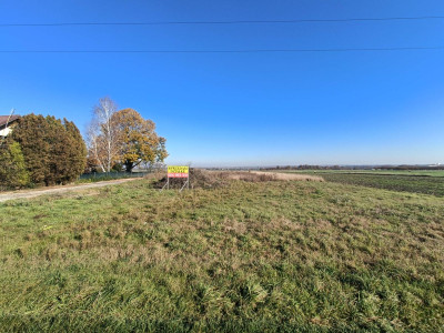 Połączenie terenów zielonych z świetną komunikacją - Gliwice  -
Śląskie Zdjęcie nr 10