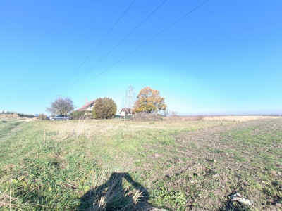 Połączenie terenów zielonych z świetną komunikacją - Gliwice  -
Śląskie Zdjęcie nr 2