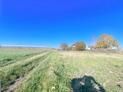 Połączenie terenów zielonych z świetną komunikacją - Gliwice  -
Śląskie Zdjęcie nr 3