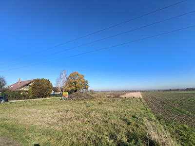 Połączenie terenów zielonych z świetną komunikacją - Gliwice  -
Śląskie Zdjęcie nr 8