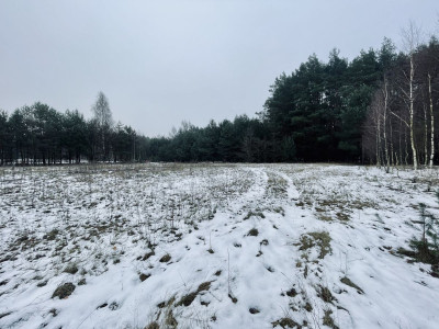 WZ  Media  Droga gminna  Prostokąt  Zalew w Ra - Wólka  -
Świętokrzyskie Zdjęcie nr 14