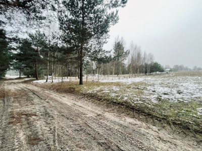 WZ  Media  Droga gminna  Prostokąt  Zalew w Ra - Wólka  -
Świętokrzyskie Zdjęcie nr 9