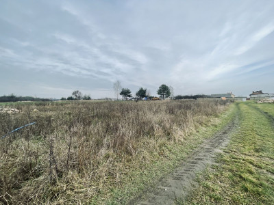 WZ na dwa budynki  Prąd woda kanalizacja  Pros - Orońsko  -
Mazowieckie Zdjęcie nr 4