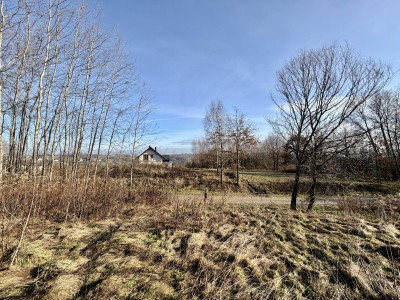 3 Działki na wzniesieniu z widokiem na Góry  MPZP - Przytkowice  -
Małopolskie Zdjęcie nr 2