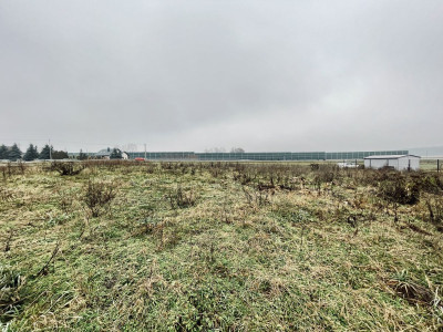 WZ  Media  Prostokąt  Płaska  Droga utwardzona - Ignacówka  -
Świętokrzyskie Zdjęcie nr 11