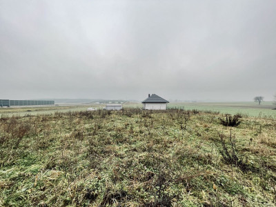 WZ  Media  Prostokąt  Płaska  Droga utwardzona - Ignacówka  -
Świętokrzyskie Zdjęcie nr 13