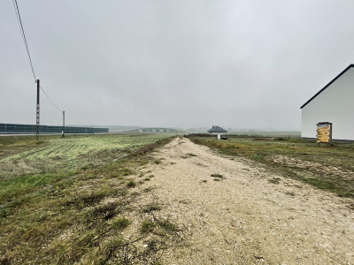 WZ  Media  Prostokąt  Płaska  Droga utwardzona - Ignacówka  -
Świętokrzyskie Zdjęcie nr 6