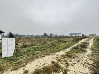 WZ  Media  Prostokąt  Płaska  Droga utwardzona - Ignacówka  -
Świętokrzyskie Zdjęcie nr 7